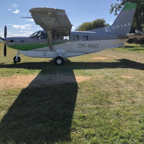 Kodiak_2.jpg